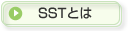 SST�Ƃ�